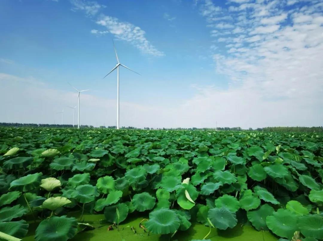 1605250677116882.jpg ΢ÐÅͼƬ_20201113142124.jpg