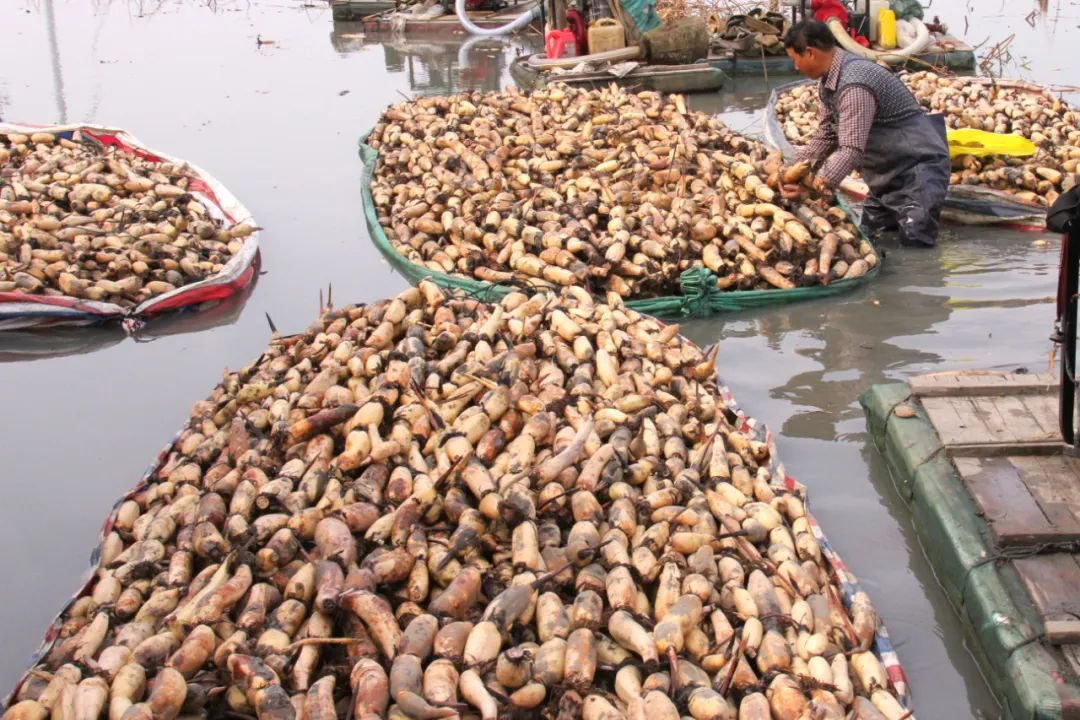 1658286003801820.png image.png