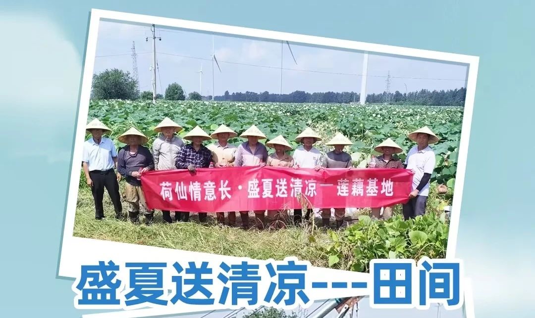 �ʰ�������